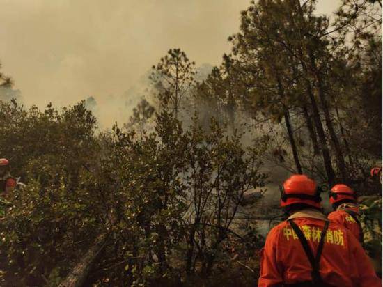西南多地山火，森林消防出动近1500人